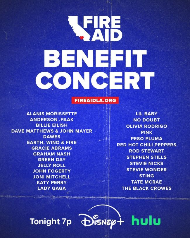 O show do FireAid foi concluído e contou com aparições de rockstars, estrelas pop e Nirvana...?