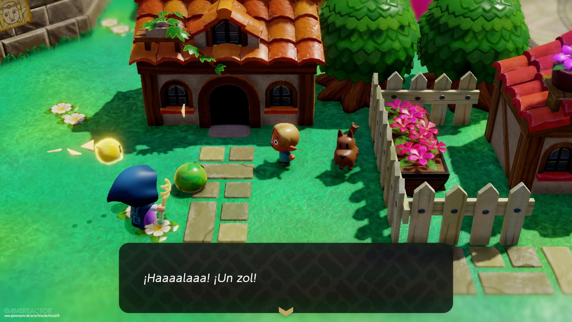 The Legend of Zelda: Echoes of Wisdom