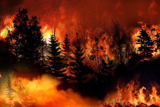Espanha em chamas: 22 Grandes Incêndios registrados apenas neste verão, com um agosto devastador até agora