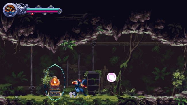 Ninja Gaiden: Ragebound
