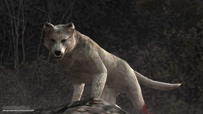 Em breve poderemos descobrir como traduzir latidos de cachorro