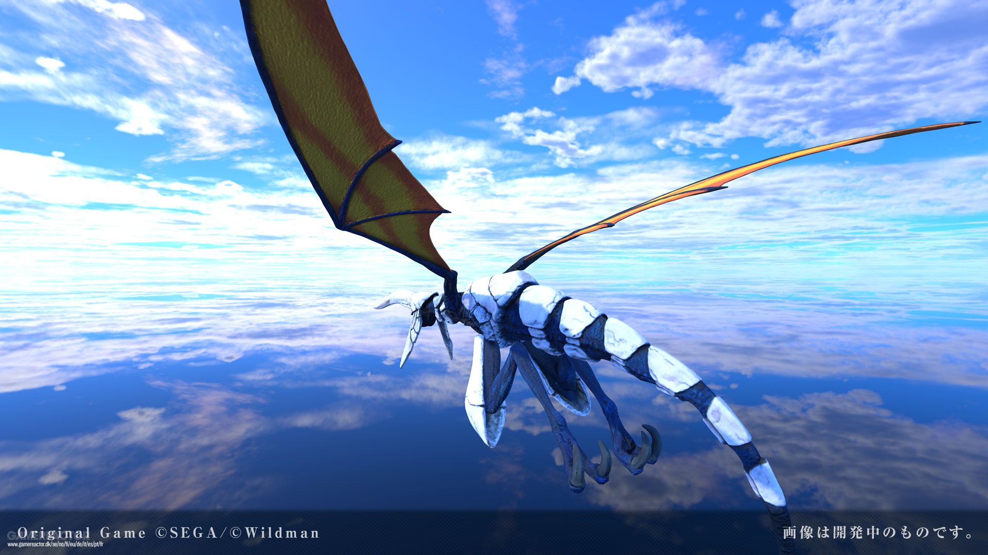 Dragoon Bellie