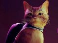 Stray chega ao Xbox One e Xbox Series em agosto