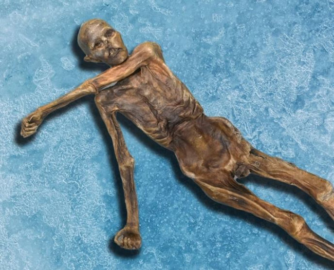 Pesquisadores transformam múmia de 5.000 anos em pão de fermentação natural