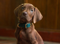 Scooby-Doo ser&aacute; um verdadeiro cachorro na s&eacute;rie prel&uacute;dio live-action de Netflix Scooby-Doo: Origins 
