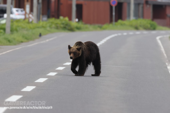 A cidade japonesa de Utsunomiya suspendeu todas as aulas após o avistamento de um urso negro nas ruas