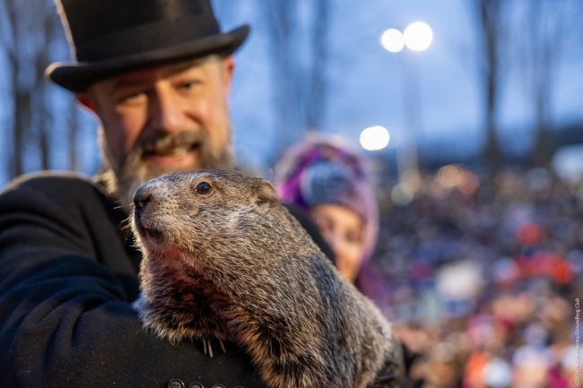Punxsutawney Phil prevê mais seis semanas de inverno para os EUA no Dia da Marmota