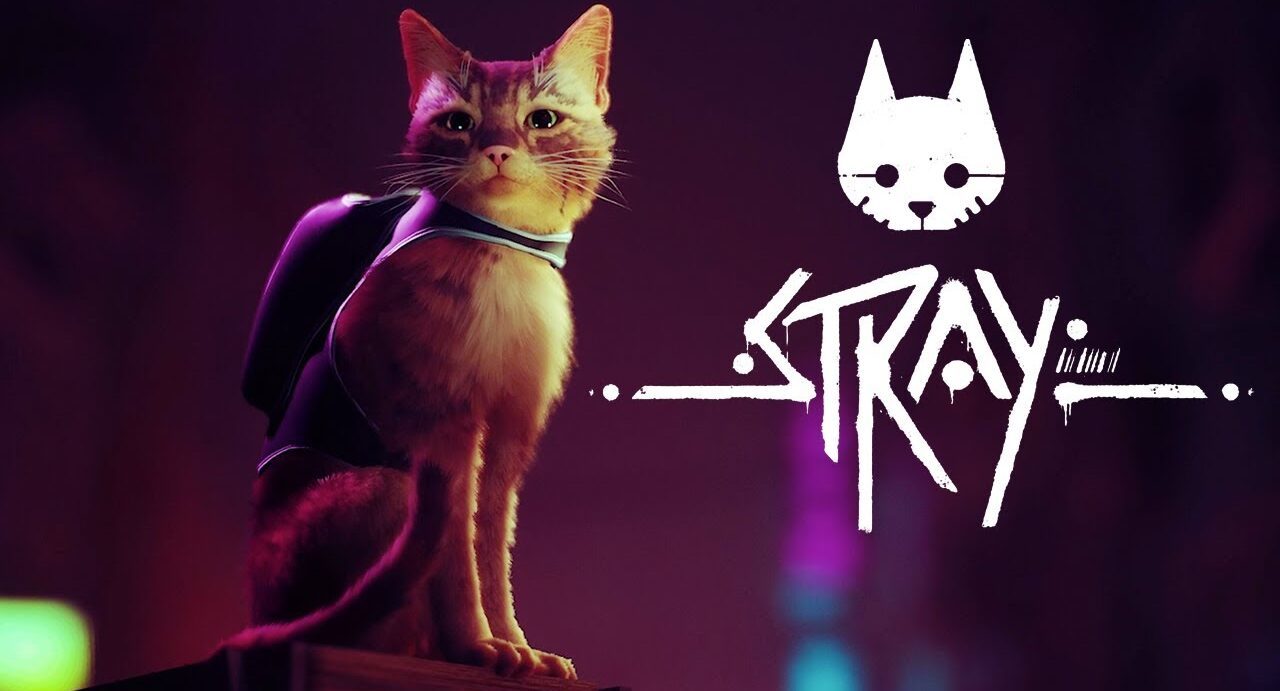 Stray - O Novo JOGO do GATO Exclusivo Playstation e PC - O Início no  Playstation 5 