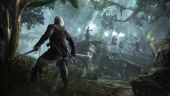 Assassin’s Creed IV: Black Flag remake seemingly confirmed by a voice actor