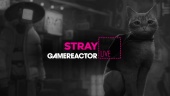 Stray - Livestream Replay