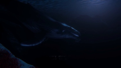 Beyond Blue - Teaser Trailer